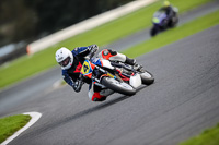 anglesey;brands-hatch;cadwell-park;croft;donington-park;enduro-digital-images;event-digital-images;eventdigitalimages;mallory;no-limits;oulton-park;peter-wileman-photography;racing-digital-images;silverstone;snetterton;trackday-digital-images;trackday-photos;vmcc-banbury-run;welsh-2-day-enduro